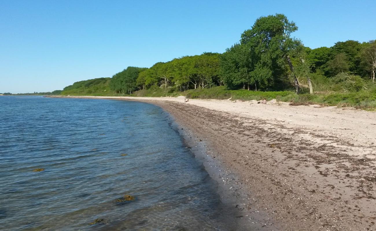 Foto af Lohals Nordstrand med lys sand overflade