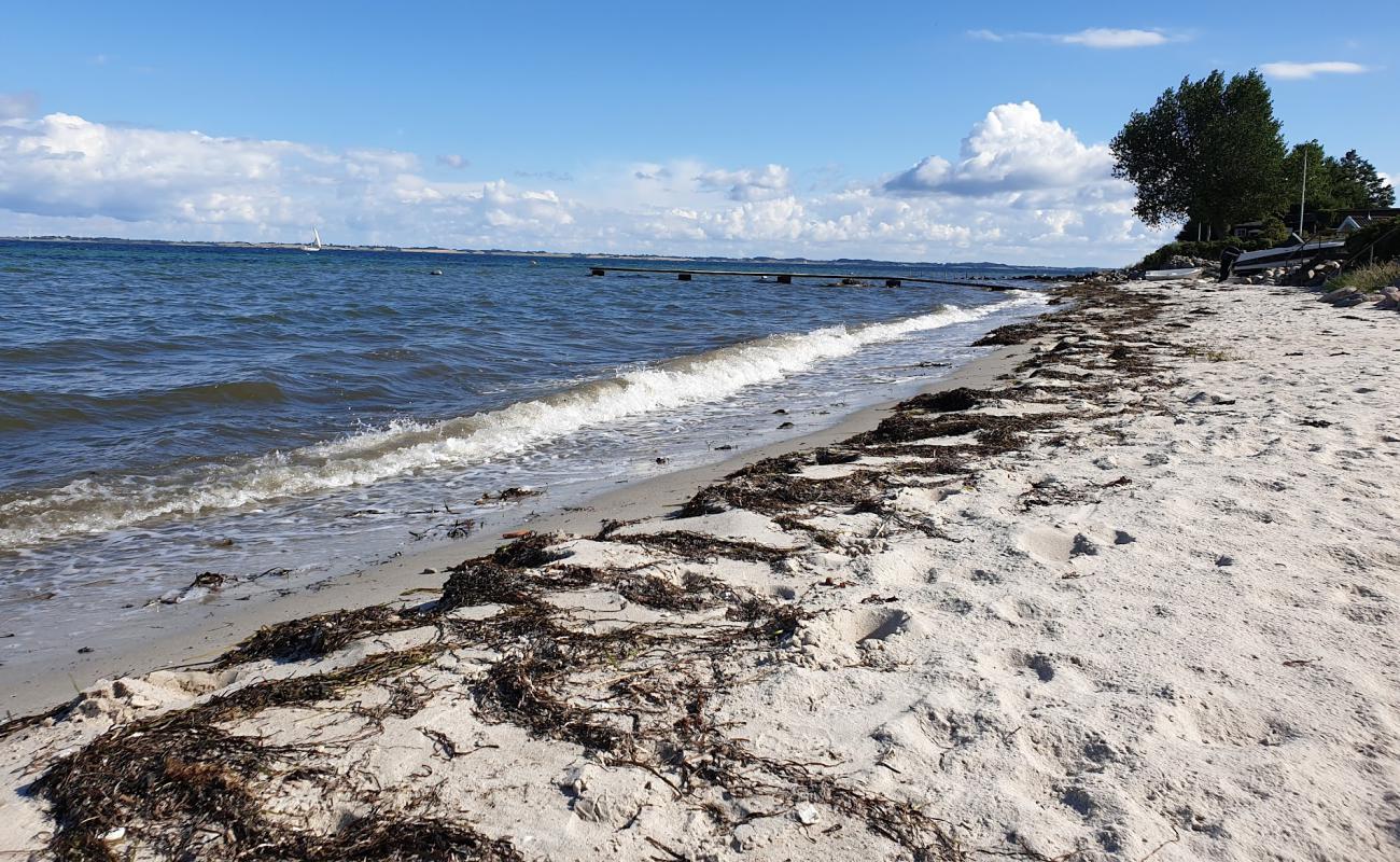 Foto af Elsehoved Strand med lys sand overflade