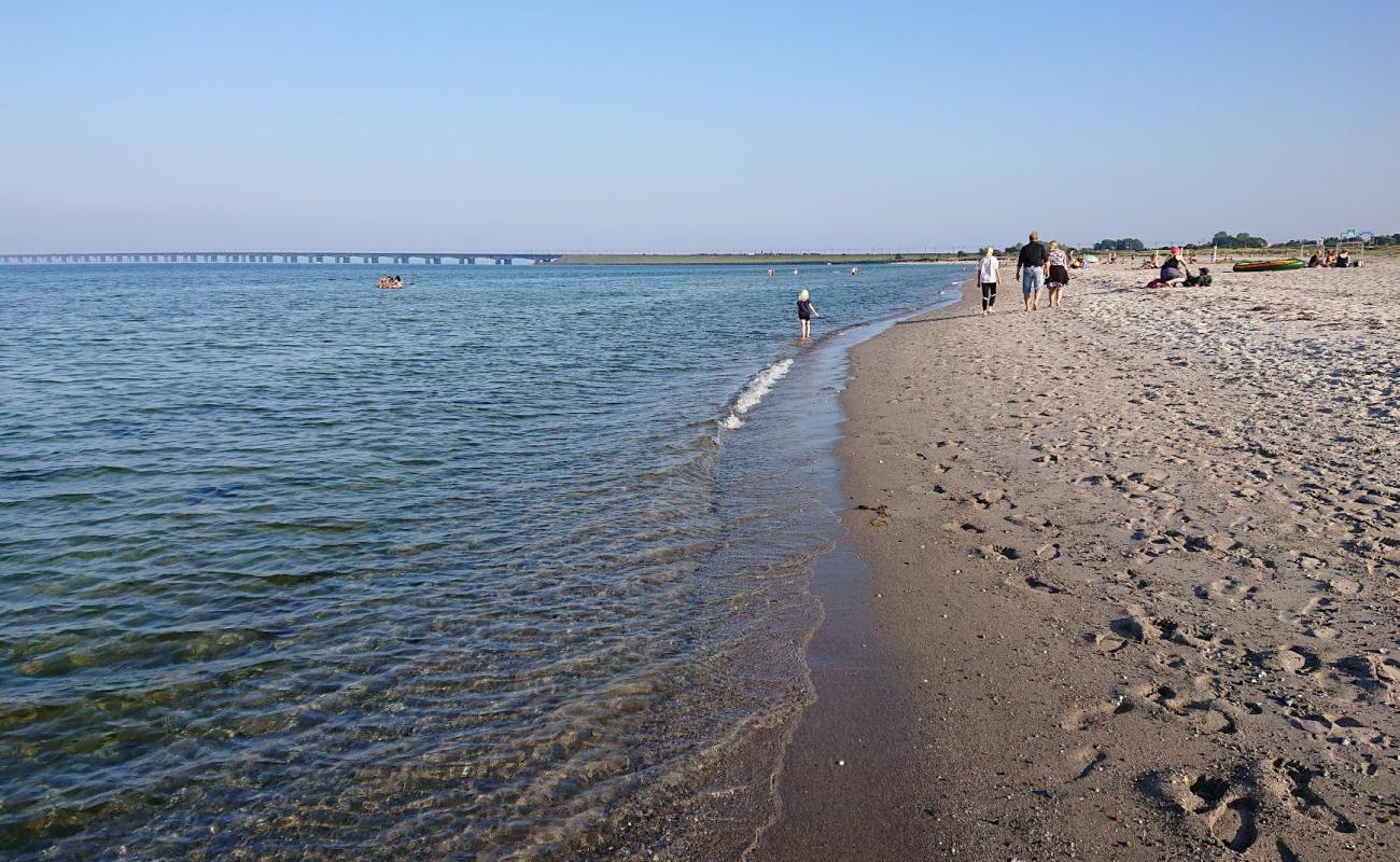 Foto af Nyborg Badestrand med lys sand overflade