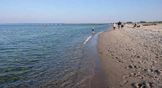 Nyborg Badestrand