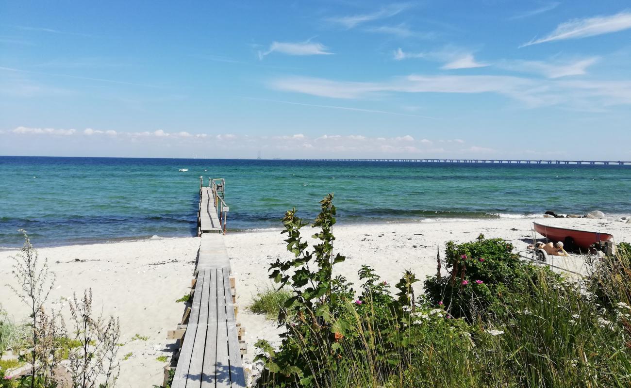 Foto af North Nyborg Strand med lys sand overflade