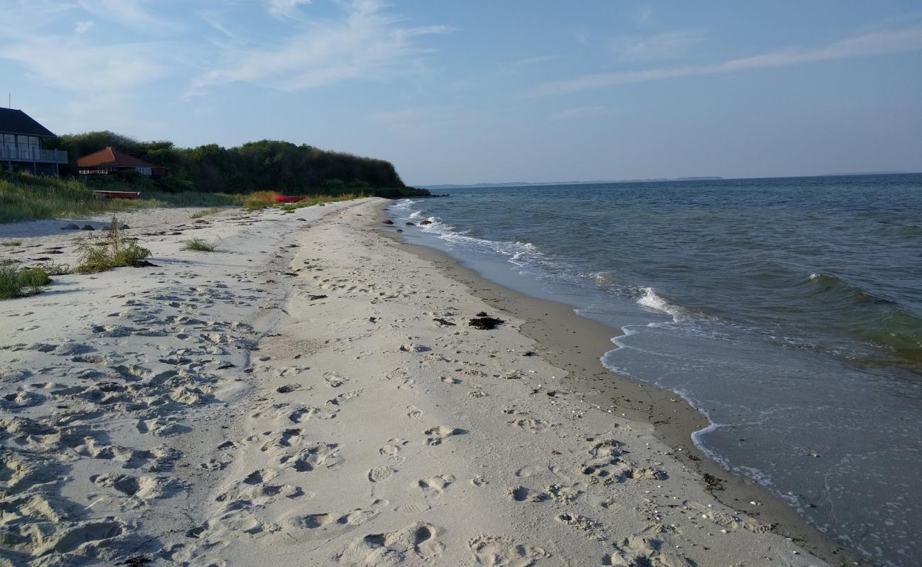 Foto af Dinestrup Strand med lys sand overflade