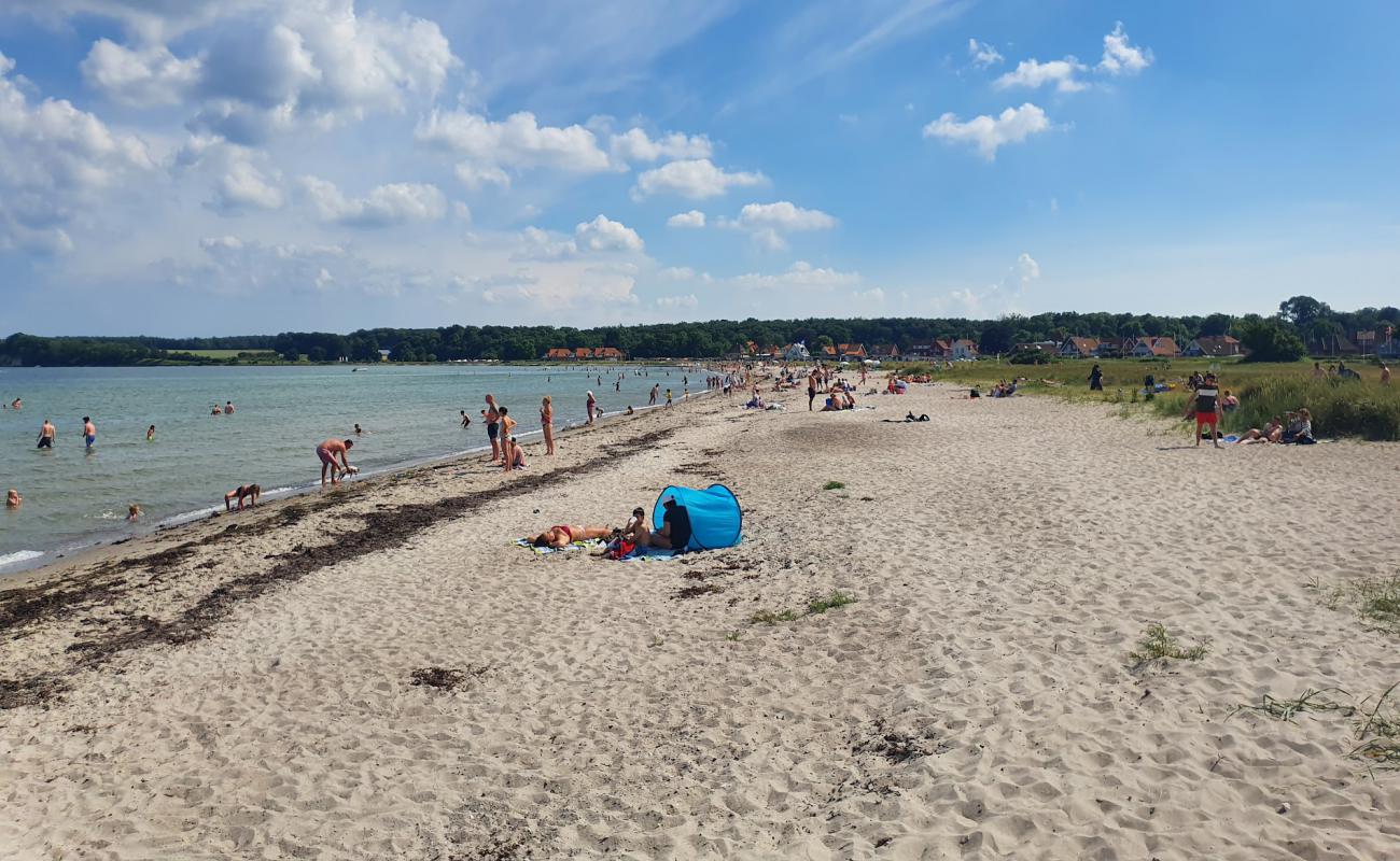 Foto af Kerteminde Sydstrand med let sand og småsten overflade