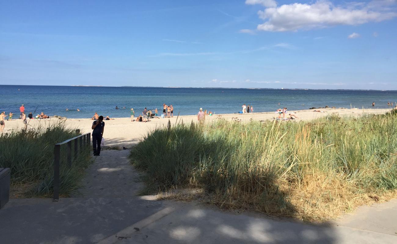 Foto af Hasmark Strand med lys sand overflade