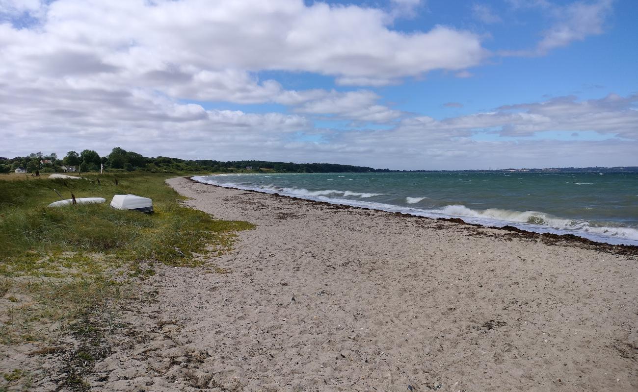 Foto af Varbjerg Beach med lyst sand & sten overflade