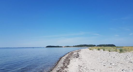 Saltofte Strand