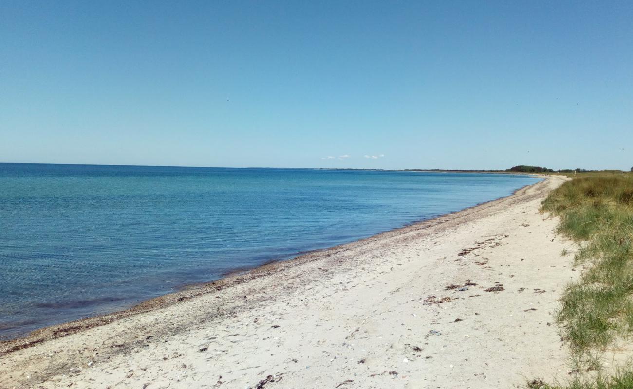 Foto af Bredfjed Strand med lys sand overflade