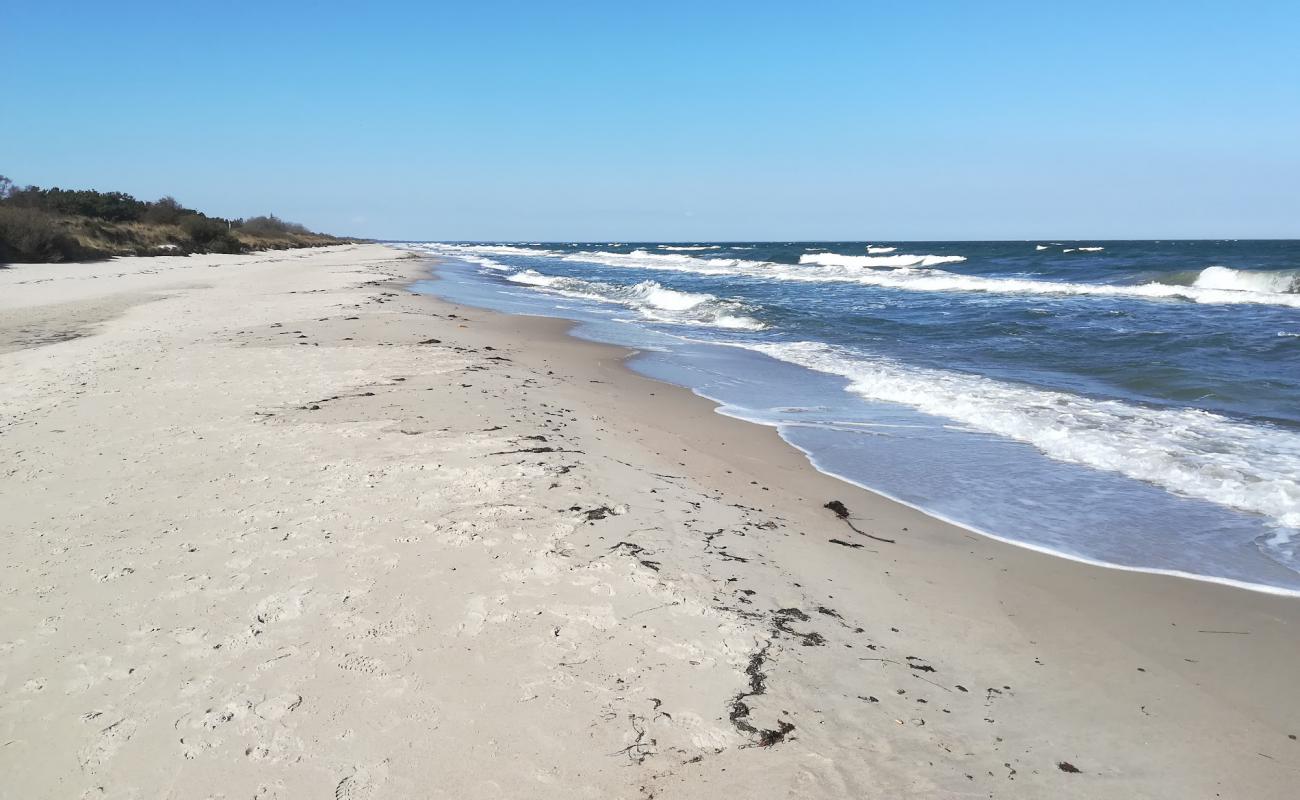 Foto af Gedesby Strand med lys sand overflade