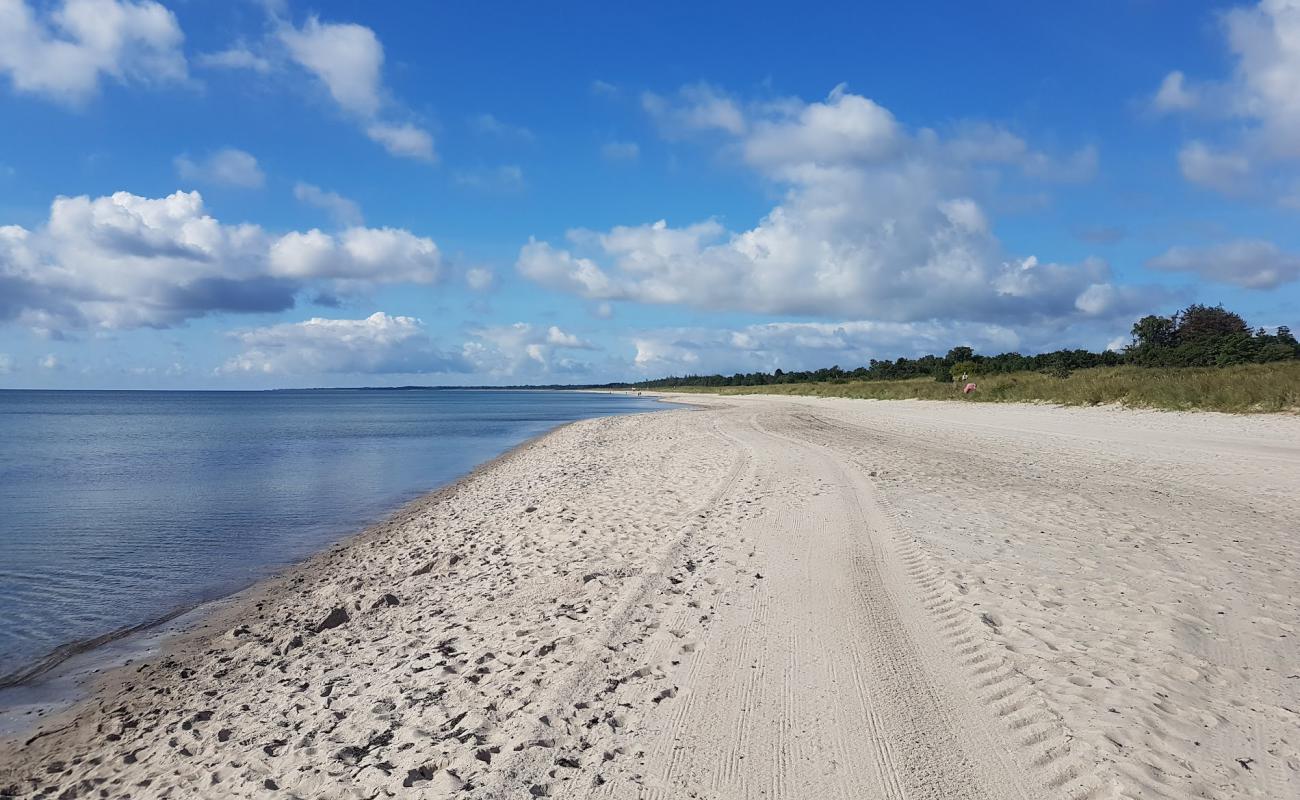 Foto af Marielyst Strand med lys sand overflade