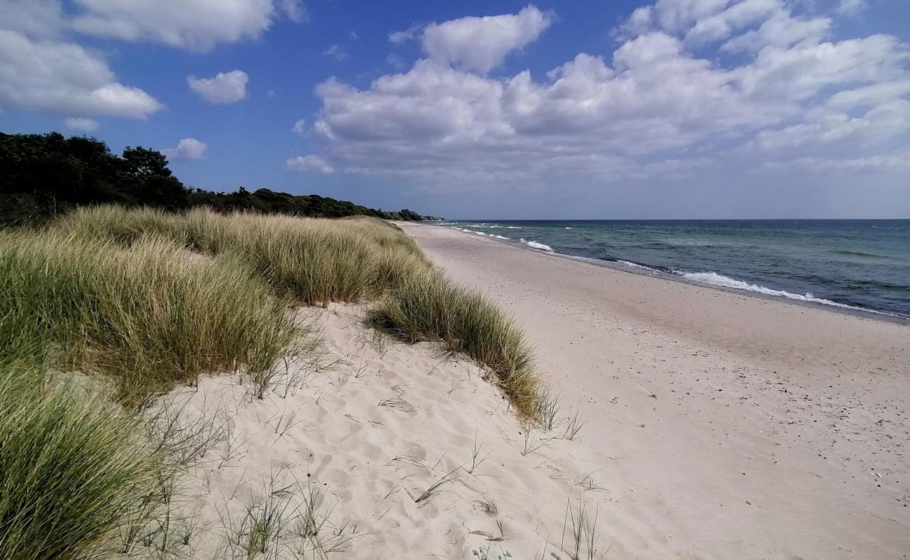 Foto af Klintholm Strand med lys sand overflade