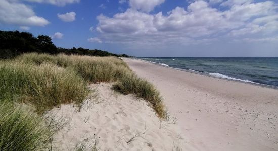 Klintholm Strand