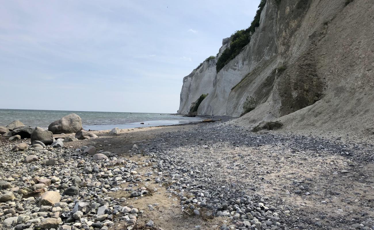 Foto af Stranden Møns Klint med let sten overflade