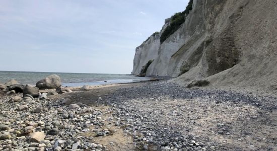 Stranden Møns Klint