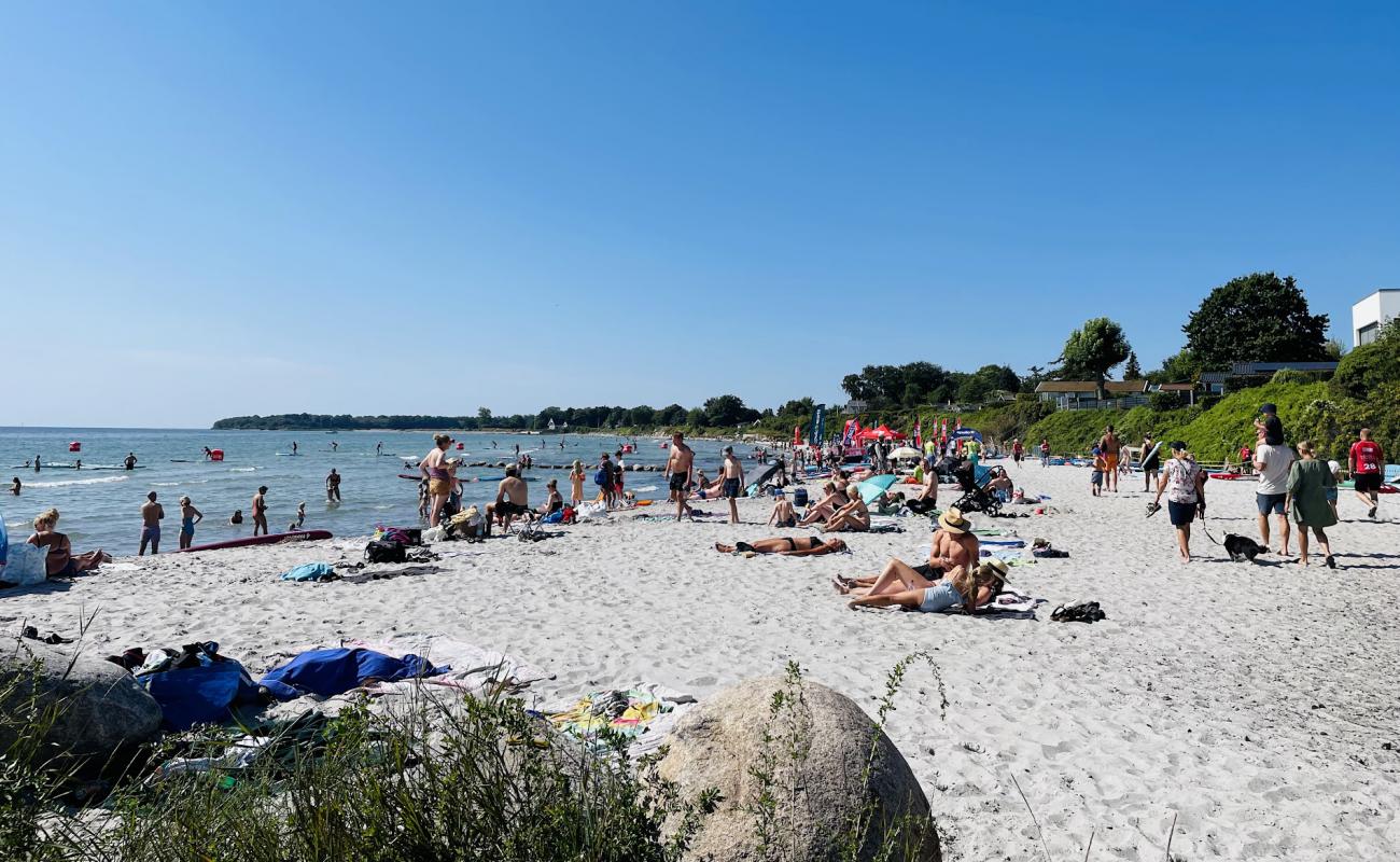 Foto af Rodving Sand Strand med lys sand overflade