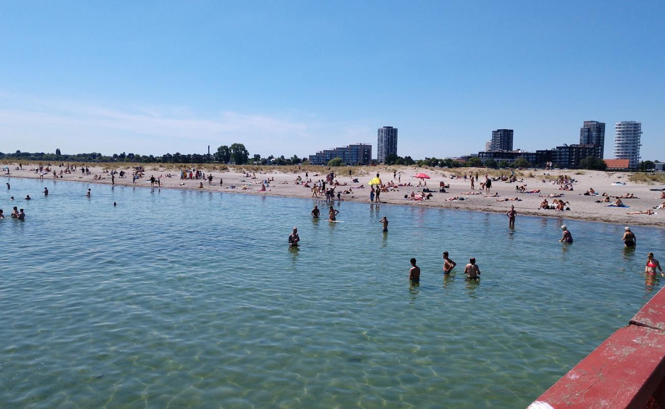 Foto af Amager Strand med lys sand overflade