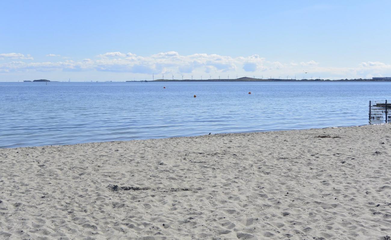 Foto af Strandlund nudist Strand med lys sand overflade