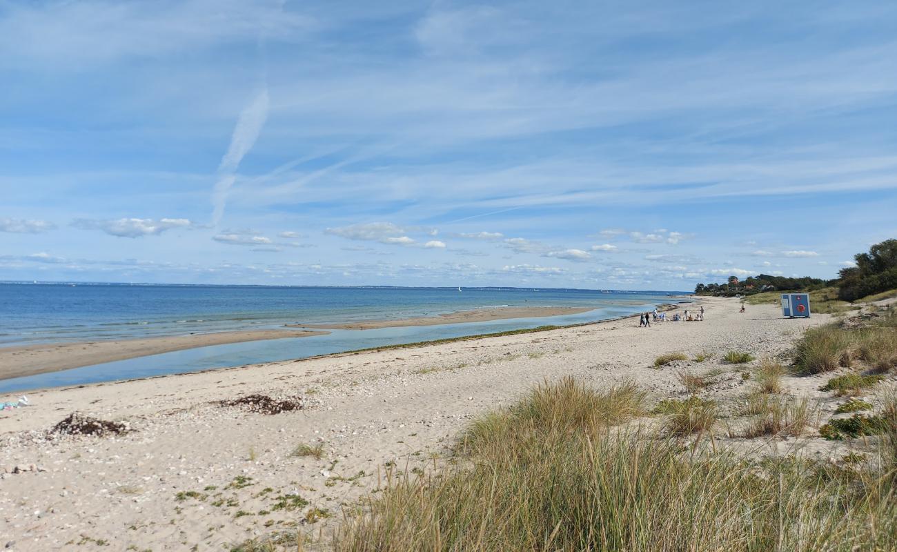 Foto af Dronningmølle Strand med lys sand overflade