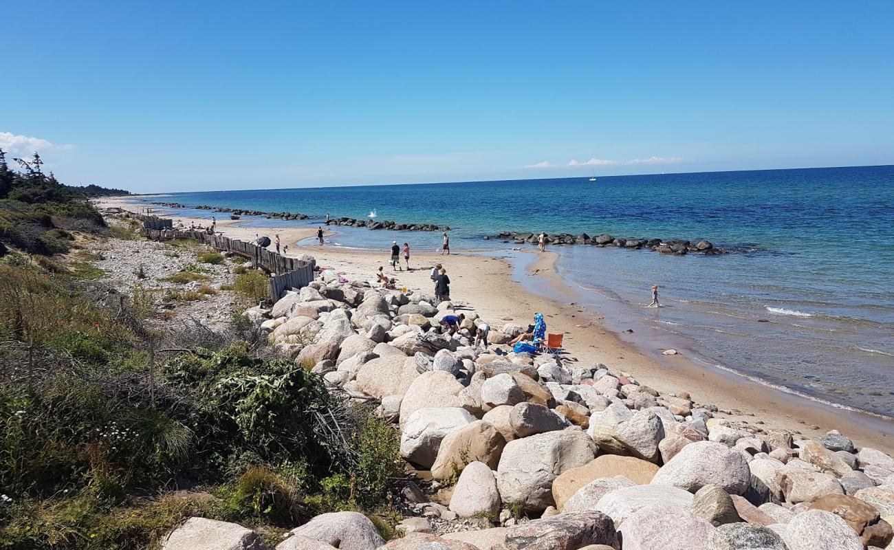 Foto af Tinkerup Strand med let sand og småsten overflade