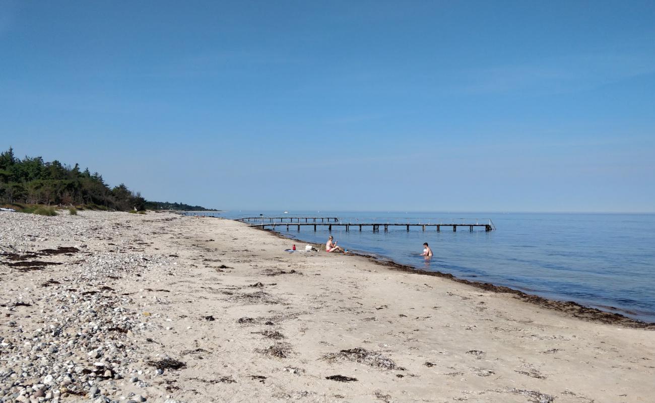 Foto af Smidstrup Strand med let sand og småsten overflade