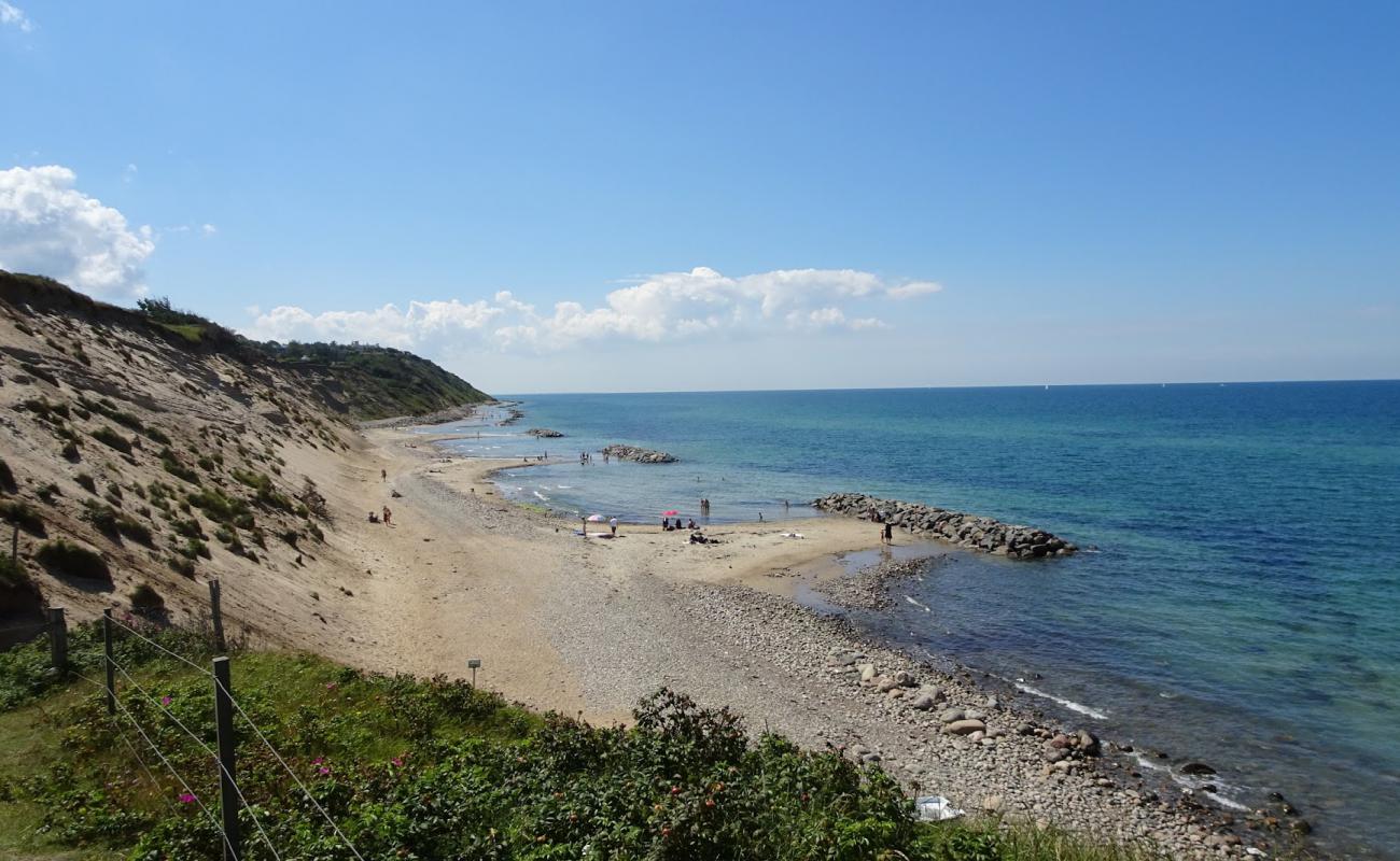 Foto af Vejby Strand med lys sand overflade