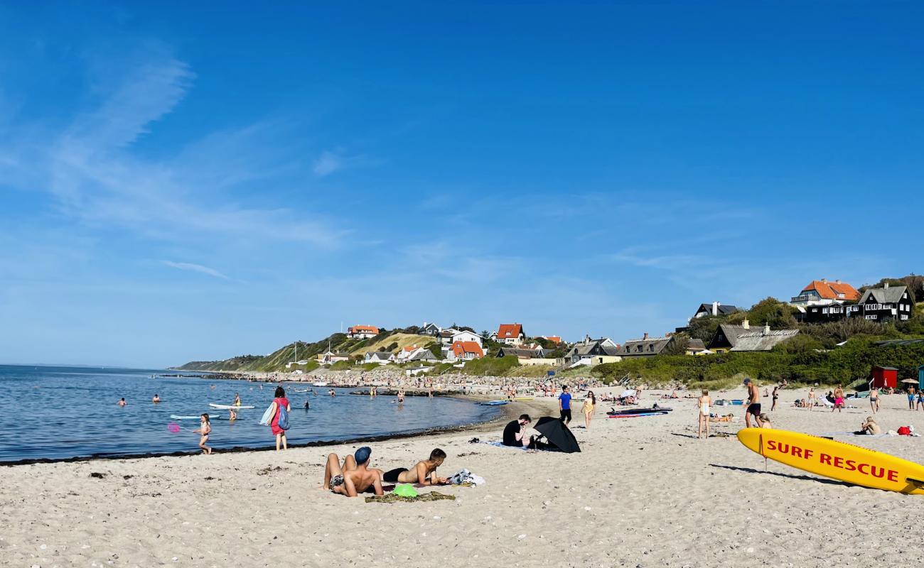 Foto af Tisvildeleje Strand med lyst sand & sten overflade