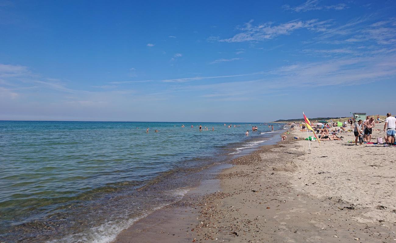 Foto af Stængehus Strand med let sand og småsten overflade