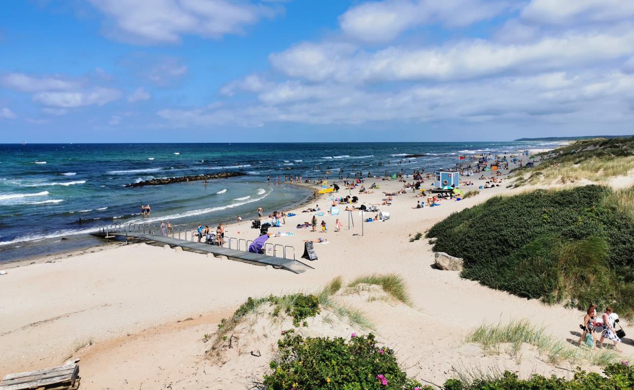 Foto af Liseleje Strand med lys sand overflade