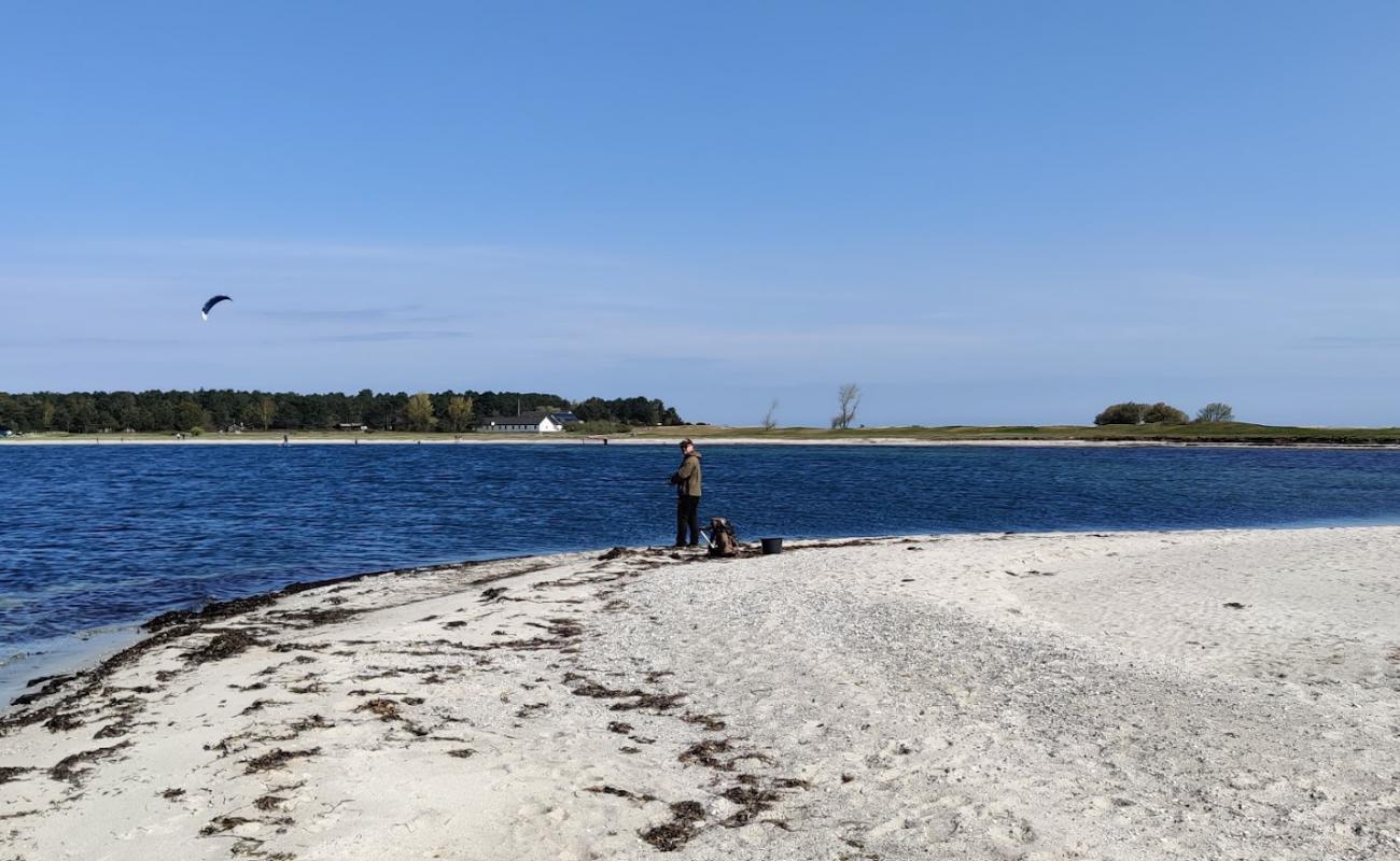 Foto af Skansehage Strand med lys sand overflade