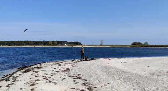 Skansehage Strand