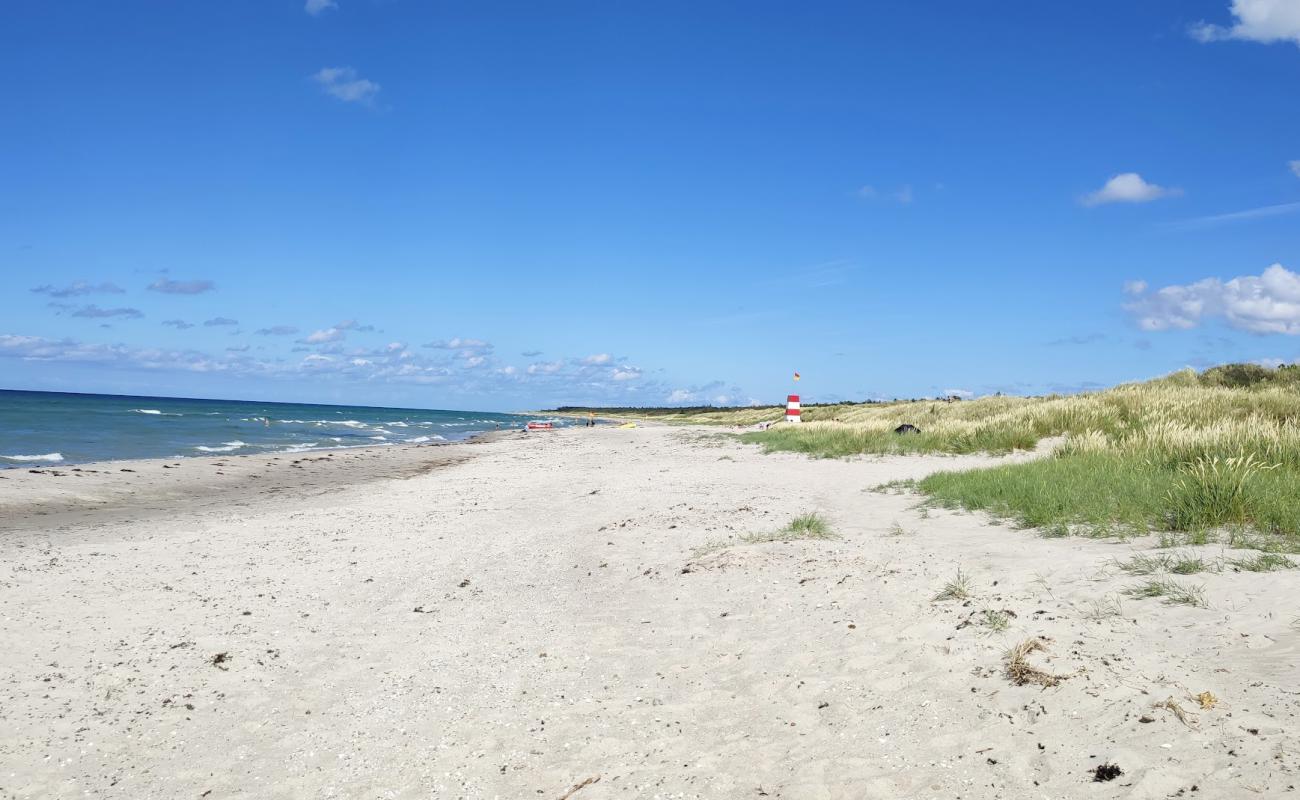 Foto af Rørvig Strand med lys sand overflade