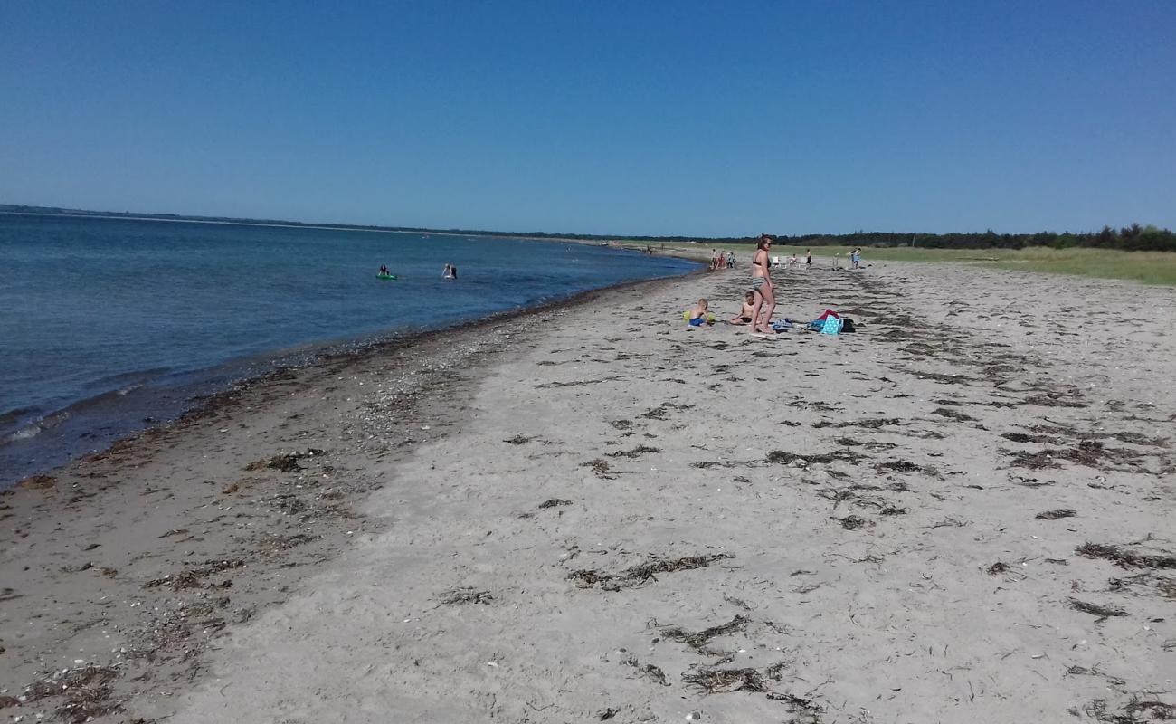 Foto af Hove Strand med lys sand overflade