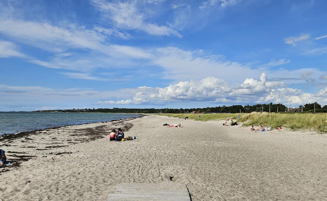 Foto af Stillinge Strand med lys sand overflade