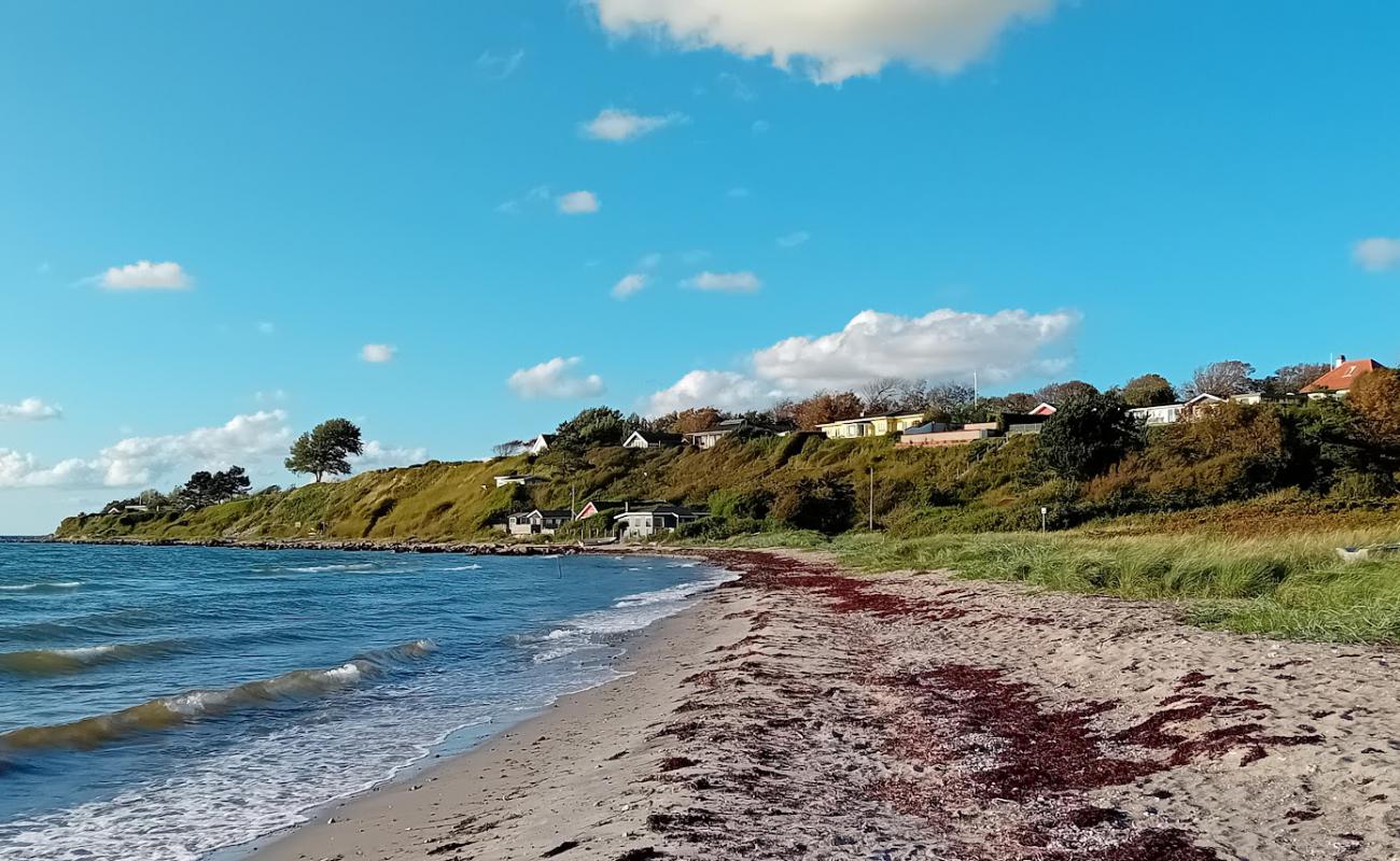 Foto af Næsby Strand med lys sand overflade