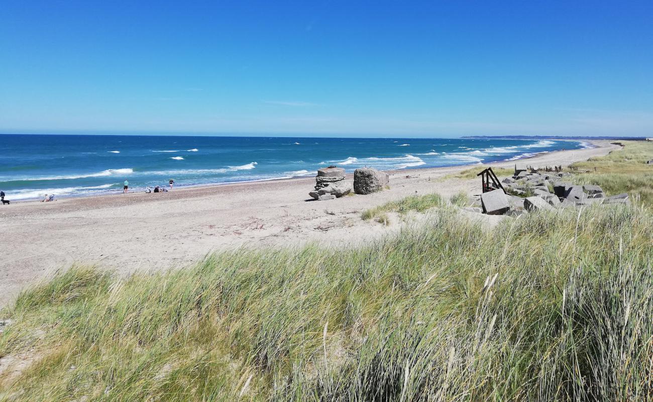 Foto af Thorup Strand med lys sand overflade