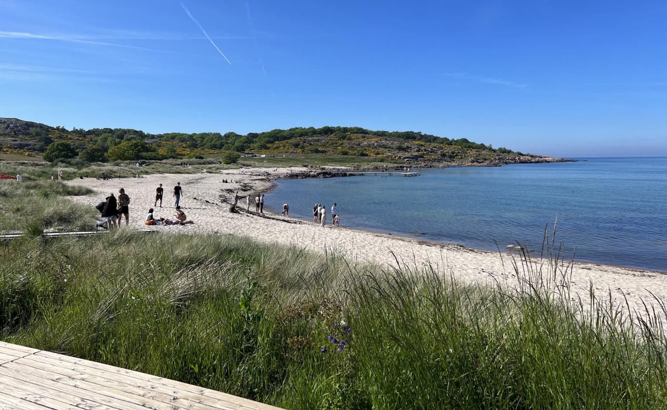 Foto af Sandvig Strand Bornholm med lys sand overflade