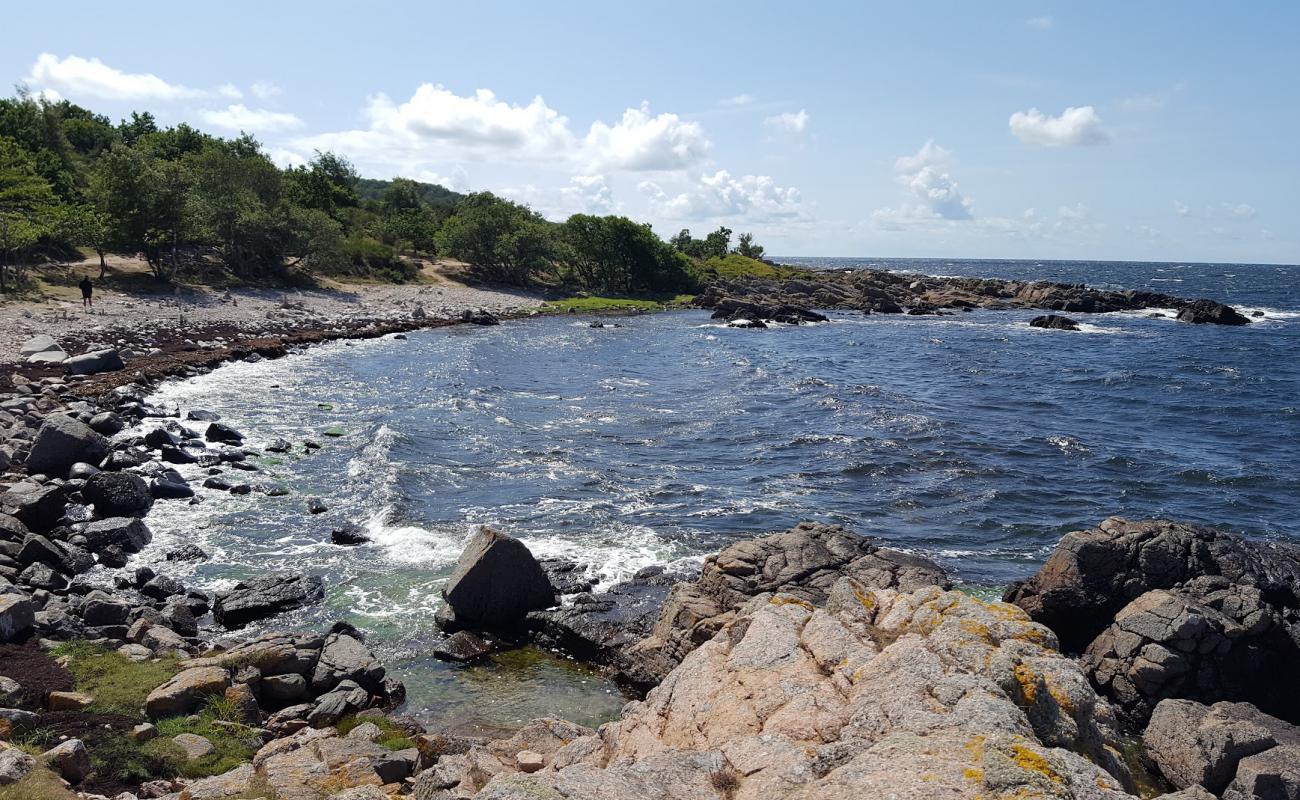 Foto af Stentarne Strand med sten overflade