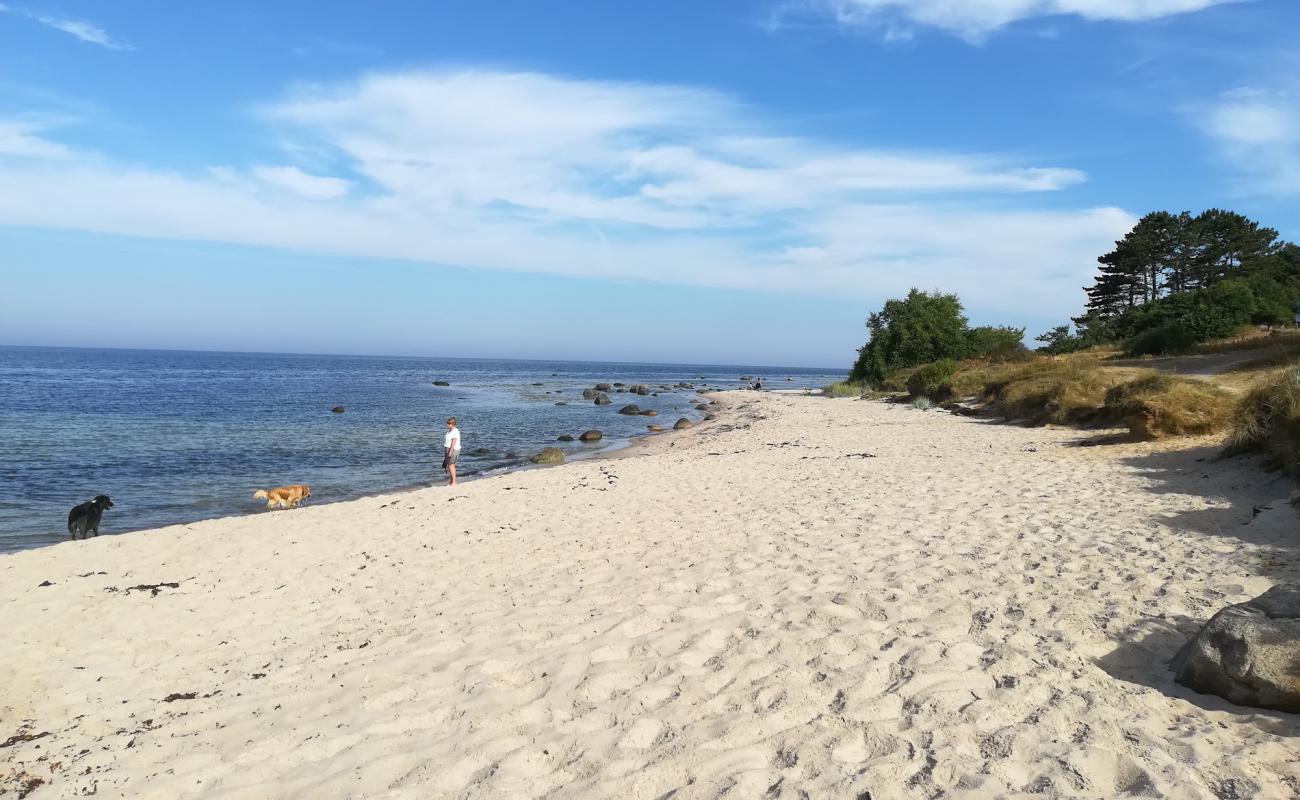 Foto af Hasle Strand med lys sand overflade