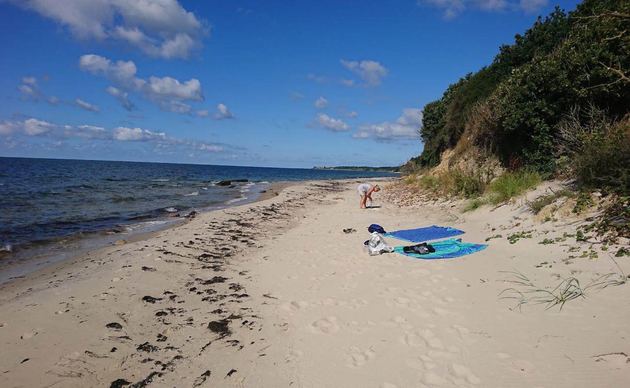 Foto af Sose Strand med lys sand overflade