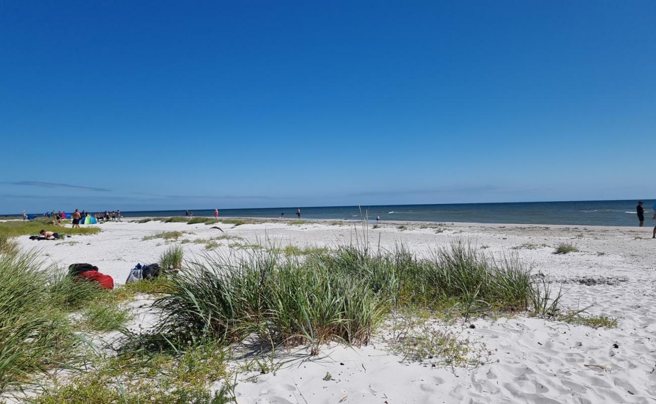 Foto af Dueodde Beach med hvidt sand overflade