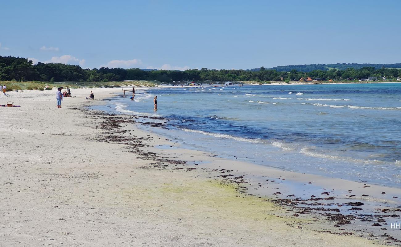 Foto af Balka Strand Bornholm med lys sand overflade