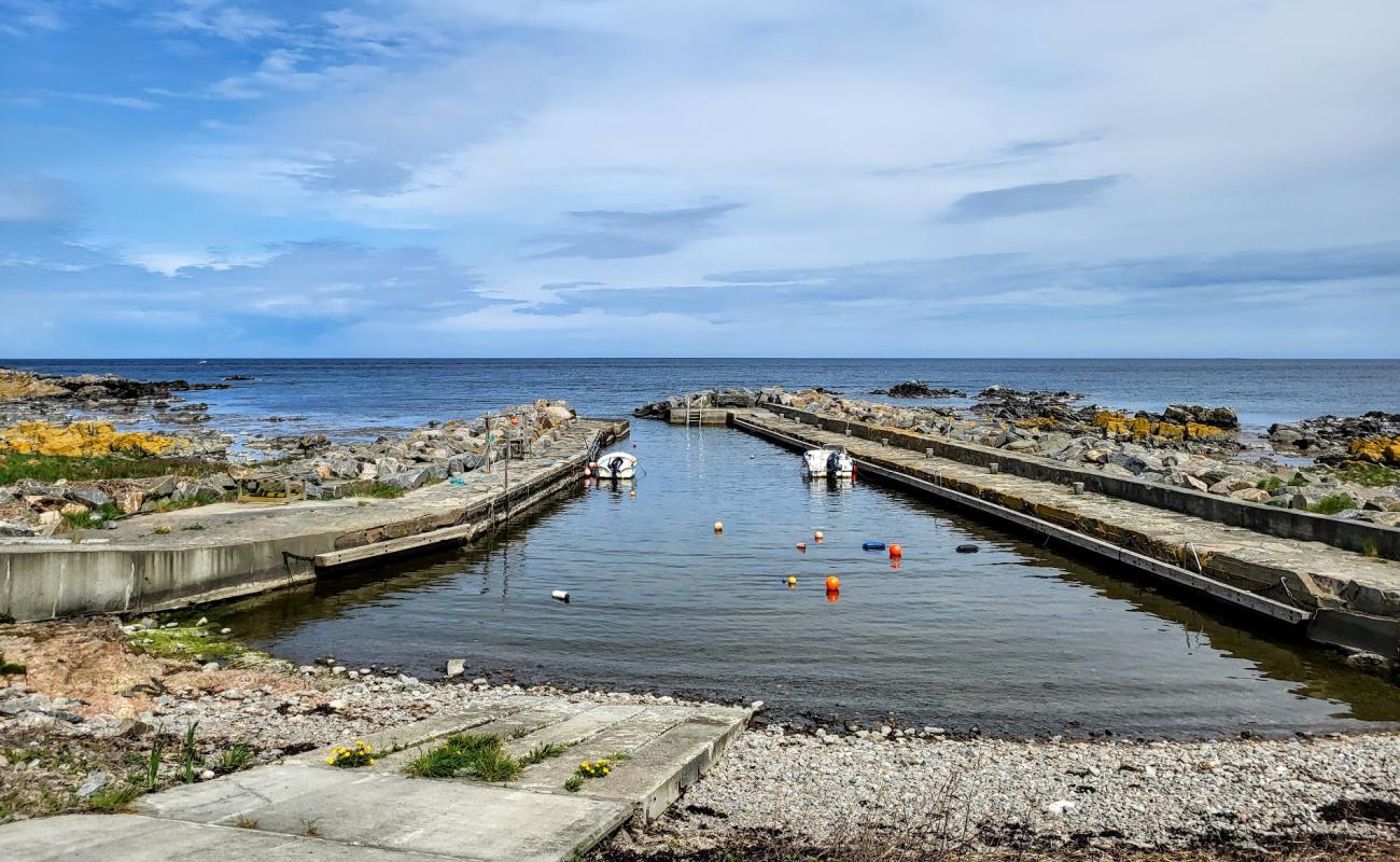 Foto af Bolshavn Havn Beach med sten overflade