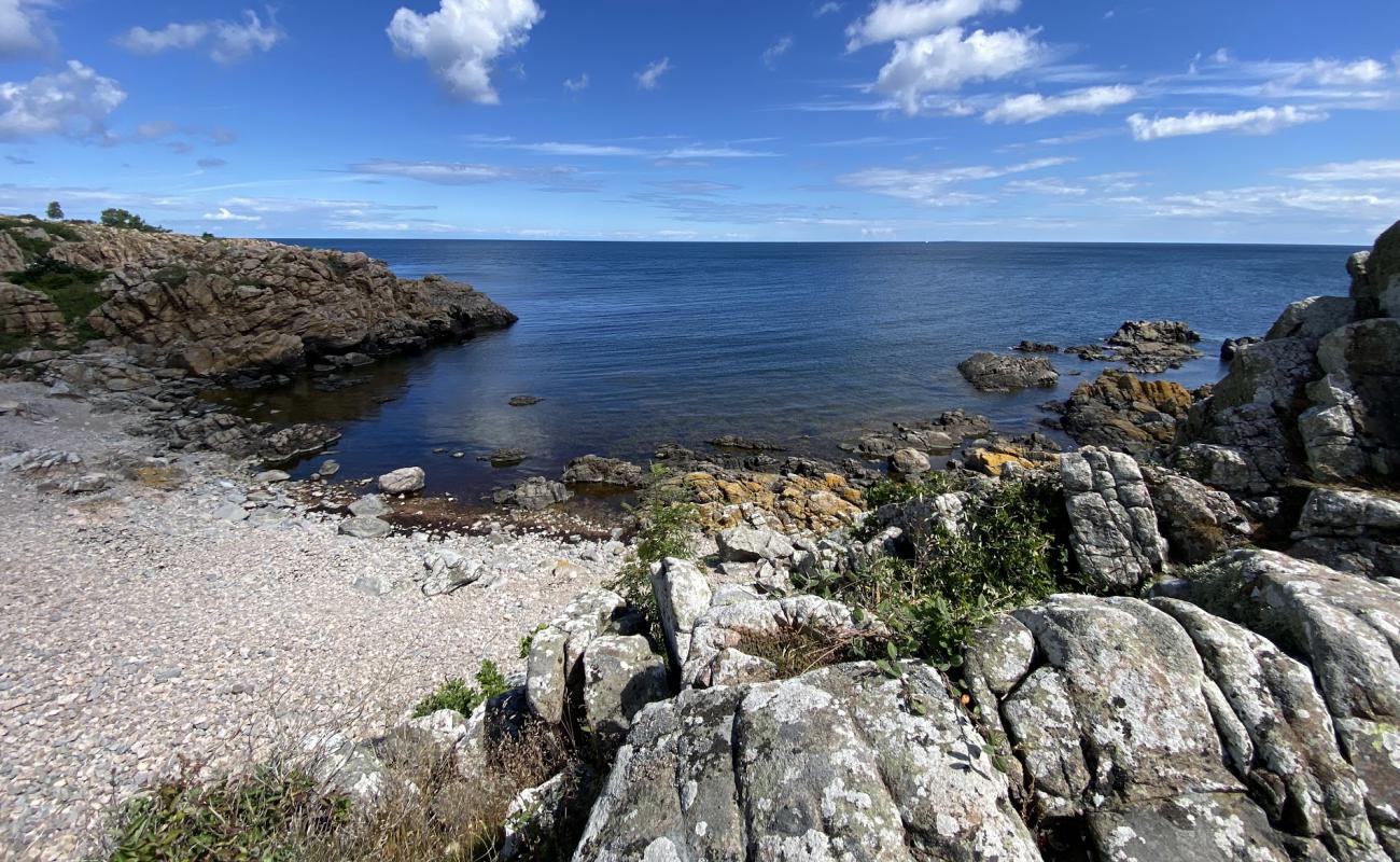 Foto af Gudhjem Beach med sten overflade