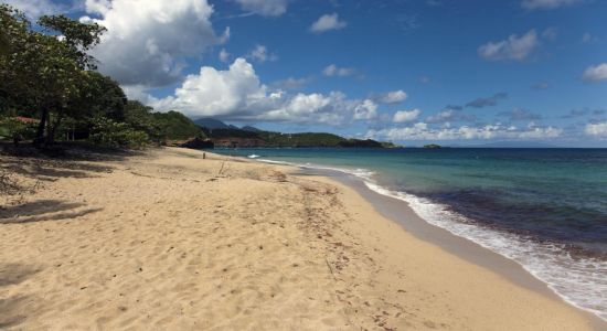 La Taile Bay Beach