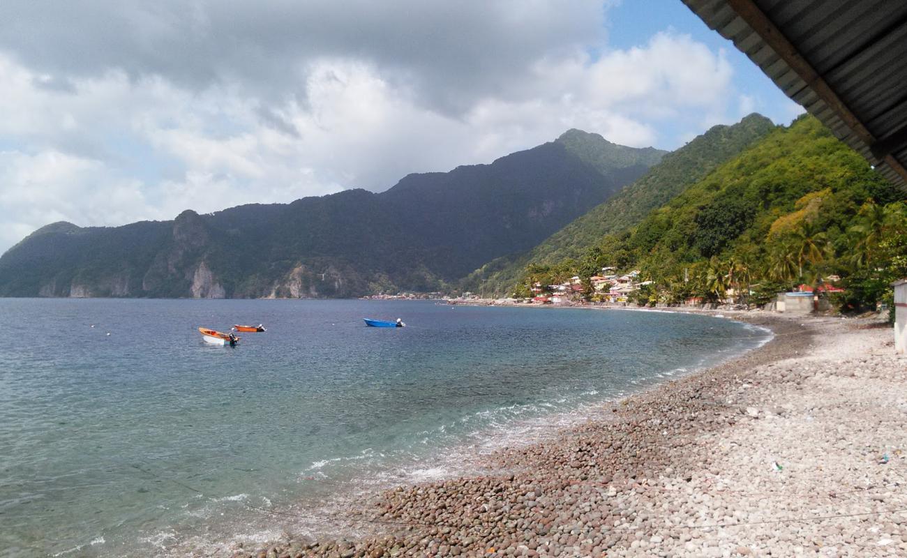 Foto af Scotts Head Beach med grå sten overflade