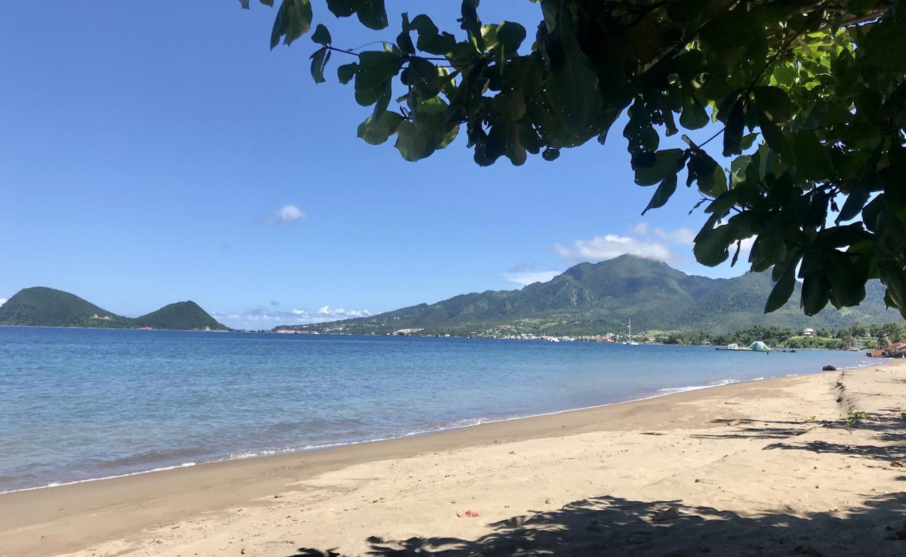 Foto af Coconut Beach med brunt sand overflade