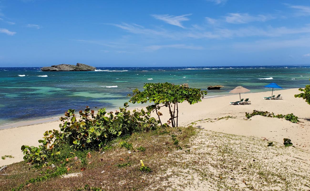 Foto af Cosita rica beach med lys sand overflade