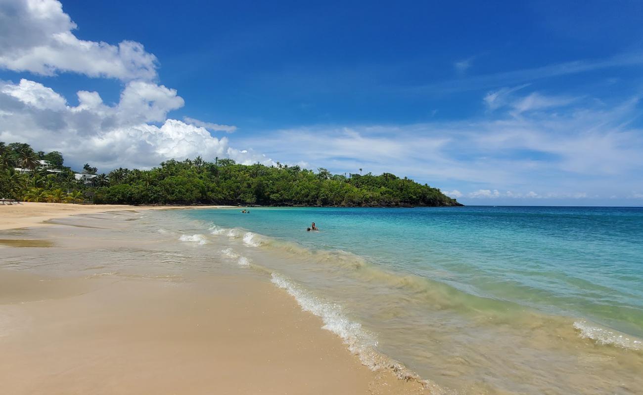 Foto af Las Ballenas Strand med lys fint sand overflade