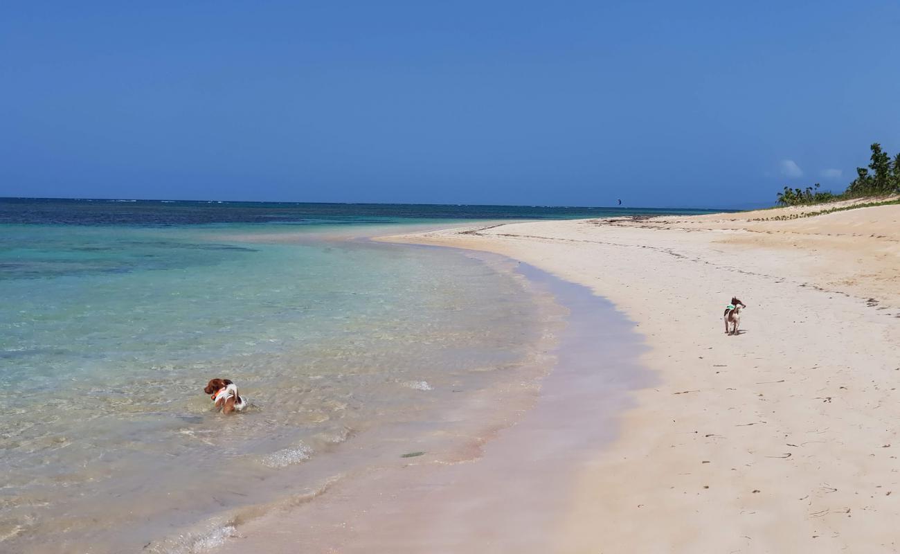 Foto af Playa El Portillo med lys fint sand overflade