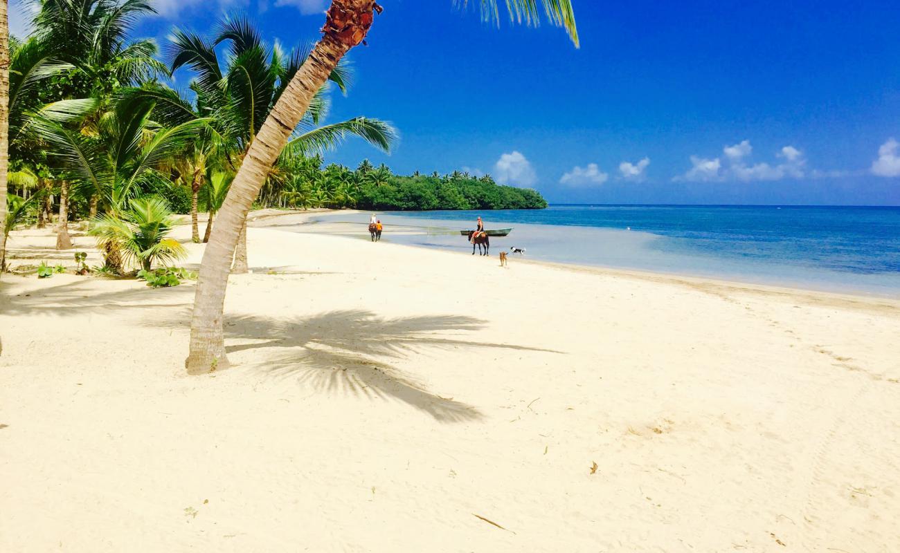 Foto af Playa Estillero med lys fint sand overflade