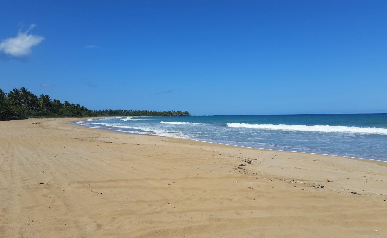 Foto af Playa El Limon med lys fint sand overflade